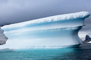 Images Dated 12th February 2006: Antarctica, Pl