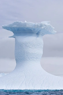 Images Dated 12th February 2006: Antarctica, Pl