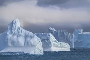 Images Dated 17th January 2020: Antarctica, South Georgia Island, Coopers Bay. Icebergs at sunrise