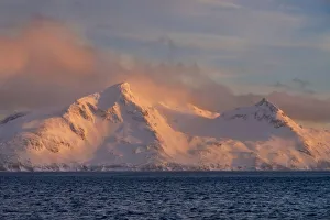 Images Dated 13th August 2020: Antarctica, South Georgia Island, Bay of Isles. Sunrise on mountain and ocean