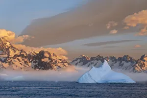 Images Dated 3rd January 2020: Antarctica, South Georgia Island, Coopers Bay. Iceberg and mountains at sunrise