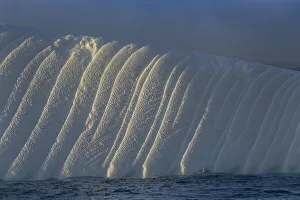 Images Dated 6th January 2020: Antarctica, South Georgia Island, Coopers Bay. Iceberg at sunrise