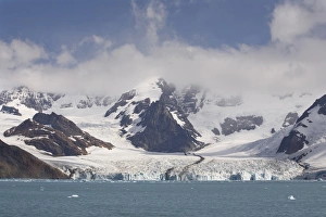Images Dated 19th January 2008: Antarctica, South Georgia, Royal Bay. View of Weddell Glacier