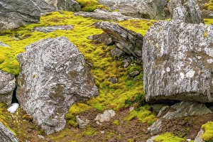 Prints of Antarctica, South Orkney Islands, Signy Island, Signy Research Station. Mossy tundra and boulders. ©Cathy and Gordon Illg / Jaynes Gallery / DanitaDelimont.com Images Dated 2024 April: Antarctica, South Orkney Islands