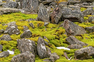 Prints of Antarctica, South Orkney Islands, Signy Island. Boulders and tundra at Signy Research Station. ©Cathy and Gordon Illg / Jaynes Gallery / DanitaDelimont.com Images Dated 2024 April: Antarctica, South Orkney Islands