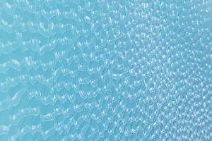 Images Dated 9th April 2022: Antarctica, Weddell Sea. Ice detail
