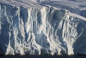 Eco Tourism Prints: Antarctica, Wiencke Island, Afternoon sun lights blue ice face of tidewater glaciers