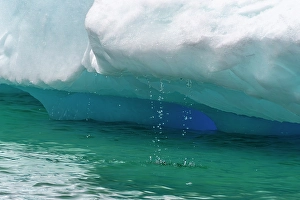 Images Dated 17th April 2024: Antarctica, Yalour Islands. Close-up of melting iceberg
