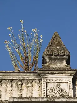 Images Dated 31st December 2006: Antigua, Guatemala: Remains of old churches destroyed in earthquales / mudlsides