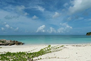 Prints of Antigua, West Indies. Beautiful pristine beaches Images Dated 2024 December: Antigua, West Indies. Beautiful pristine beaches