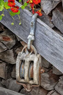 Firewood Prints: Antique block and tackle