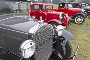 Nostalgia Prints: Antique Ford automobiles at Ft. Vancouver, Washington