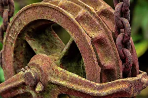 Décor Prints: Antique pulley, block and tackle