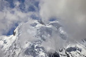 High Elevation Prints: Antisana volcano, Antisana National Park, Ecuador
