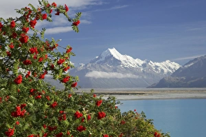 Images Dated 26th January 2006: Aoraki / Mt Cook, and Lake Pukaki, Canterbury, South Island, New Zealand