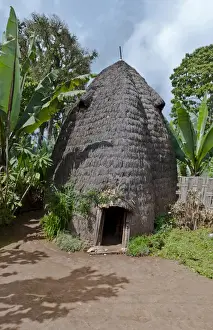 Ethiopia Prints: Arba Minch Chencha Ethiopia Africa Dorze tribe village elephant type home in village