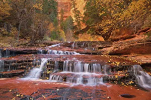 Alan Majchrowicz Prints: Archangel Falls on Left Fork of North Creek, Zion National Park