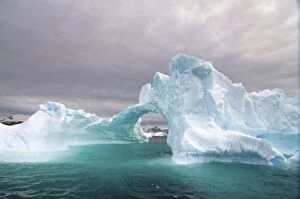 Images Dated 26th January 2007: arched iceberg floating off the western Antarctic peninsula, Antarctica, Southern Ocean