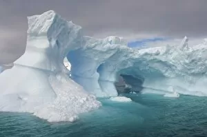 Images Dated 28th January 2007: arched iceberg floating off the western Antarctic peninsula, Antarctica, Southern Ocean