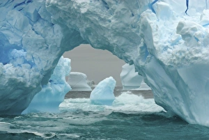 Images Dated 14th May 2005: arched iceberg floating off the western Antarctic peninsula, Antarctica, Southern Ocean