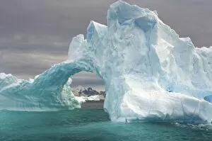 Images Dated 26th January 2007: arched iceberg floating off the western Antarctic peninsula, Antarctica, Southern Ocean