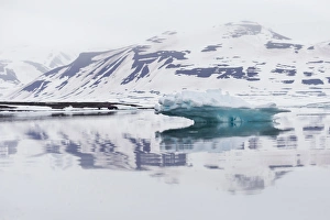 Images Dated 4th July 2014: Arctic, Norway, Svalbard, Spitsbergen, Ice and reflection