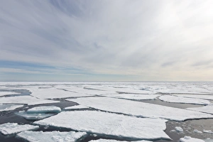 Images Dated 6th July 2014: Arctic, Norway, Svalbard, Spitsbergen, pack ice, Pack Ice