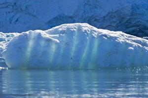 Images Dated 14th July 2014: Arctic, Norway, Svalbard, Spitsbergen, Monaco Glacier, Ice at the base of the Monaco