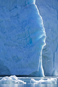 Images Dated 14th July 2014: Arctic, Norway, Svalbard, Spitsbergen, Monaco Glacier, Ice at the base of the Monaco