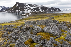 Images Dated 18th July 2014: Arctic, Norway, Svalbard, Spitsbergen, Fuglesongen. Tundra and rocks