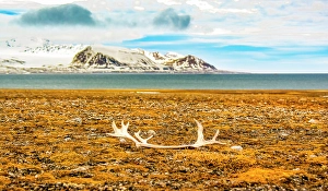 Arctic Ocean Prints: Arctic Ocean, Svalbard Islands, Norway