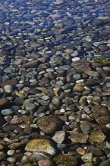 Images Dated 20th March 2009: Argentina, Chubut Province, Lake Puelo National Park. Clear water of Lago Puelo