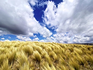 View From Below Prints: Argentina, Cordoba Province. Quebrada del Condorito National Park