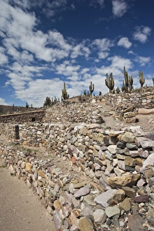 Images Dated 8th March 2009: ARGENTINA, Jujuy Province, Tilcara. Pre-columbian fortification Pucara de Tilcara