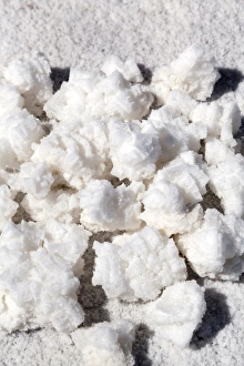 Images Dated 22nd April 2011: Argentina, Jujuy, Salinas Grandes, salt lake, salt crystal