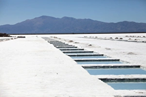 Jutta Riegel Prints: Argentina, Jujuy, Salinas Grandes, salt lake