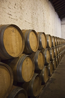 Images Dated 13th March 2009: Argentina, Mendoza Province, Lujan de Cuyo. Wine casks, Bodega Norton winery