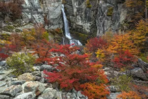 Argentina, Patagonia, El Chalten. Waterfall and autumn colors on southern beech trees