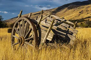 Prints of Argentina, Patagonia. Old rustic wagon Images Dated 2019 January: Argentina, Patagonia. Old rustic wagon