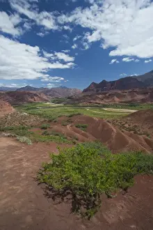 Images Dated 6th March 2009: ARGENTINA, Salta Province, Quebrada de Cafayate Canyon. Red rock high view by El Sapo