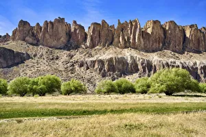 Willow Prints: Argentina, Santa Cruz, Valle del Rio Pinturas (Pinturas river valley)