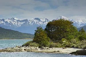 Images Dated 25th February 2014: Argentina. Tierra del Fuego. Tierra del Fuego National Park. The coastal trail