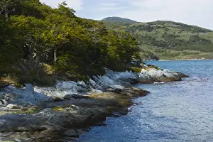 Images Dated 25th February 2014: Argentina. Tierra del Fuego. Tierra del Fuego National Park. The coastal trail