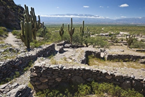 Images Dated 6th March 2009: ARGENTINA, Tucuman Province, Quilmes. Ruins of ancient indigenous peoples settlement