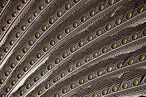 Images Dated 4th October 2011: Argus Pheasant Wing Feather design with patterns with spots