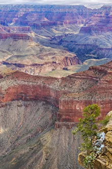 Images Dated 12th March 2016: Arizona, Grand Canyon National Park, South Rim