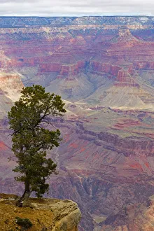 South Rim Prints: Arizona, Grand Canyon National Park, South Rim