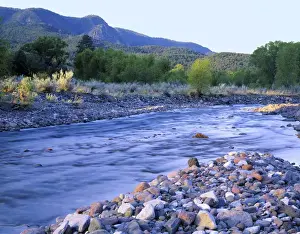 Brook Prints: Arizona. USA. Rounded stones along Blue River at sunrise in the Blue Range on edge