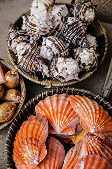 Images Dated 27th May 2022: Arizona, USA. Seashells in woven baskets