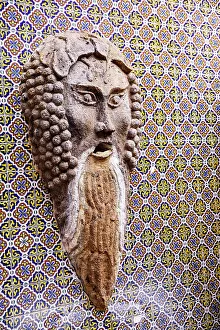 Beard Prints: Arizona, USA. Stucco mask